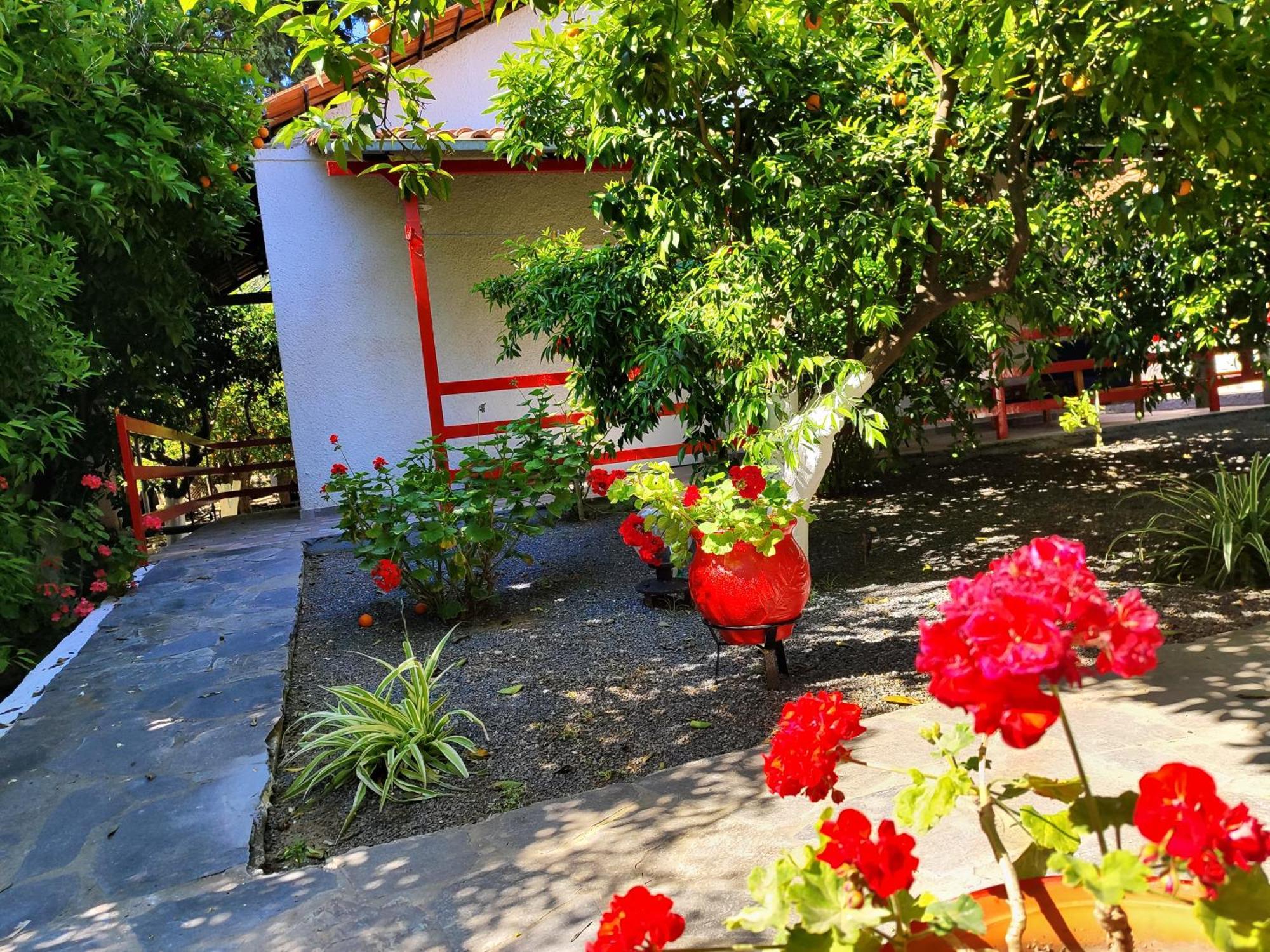 Cottonclub Villas Tolón Exterior foto